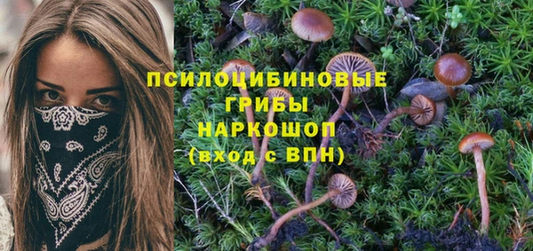 герыч Алексин