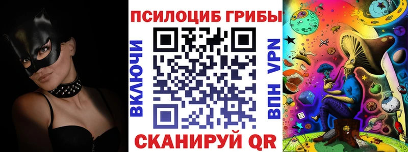 Галлюциногенные грибы Psilocybe  кракен сайт  Неман 
